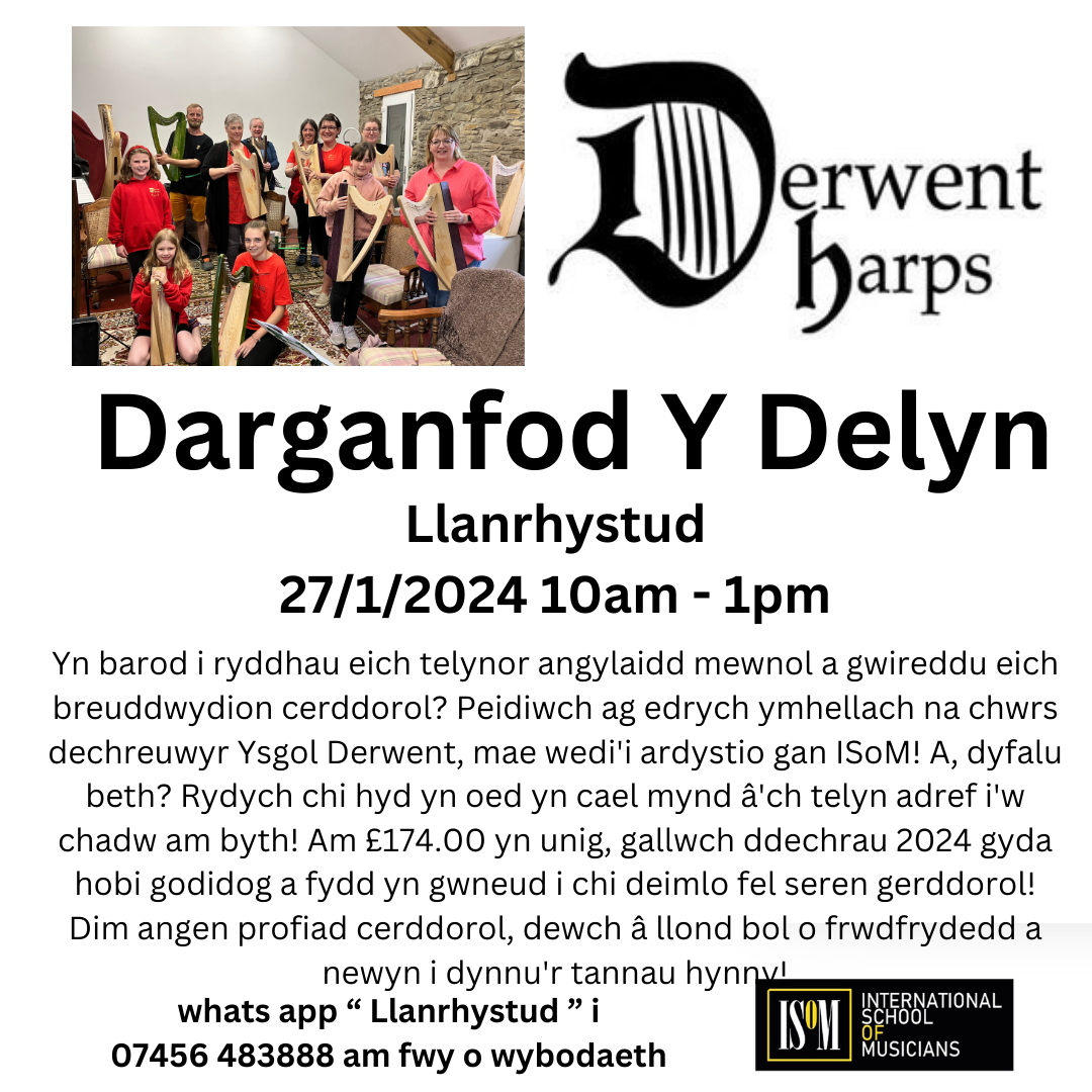 Discover The Harp in Llanrhystud 25/1/2024