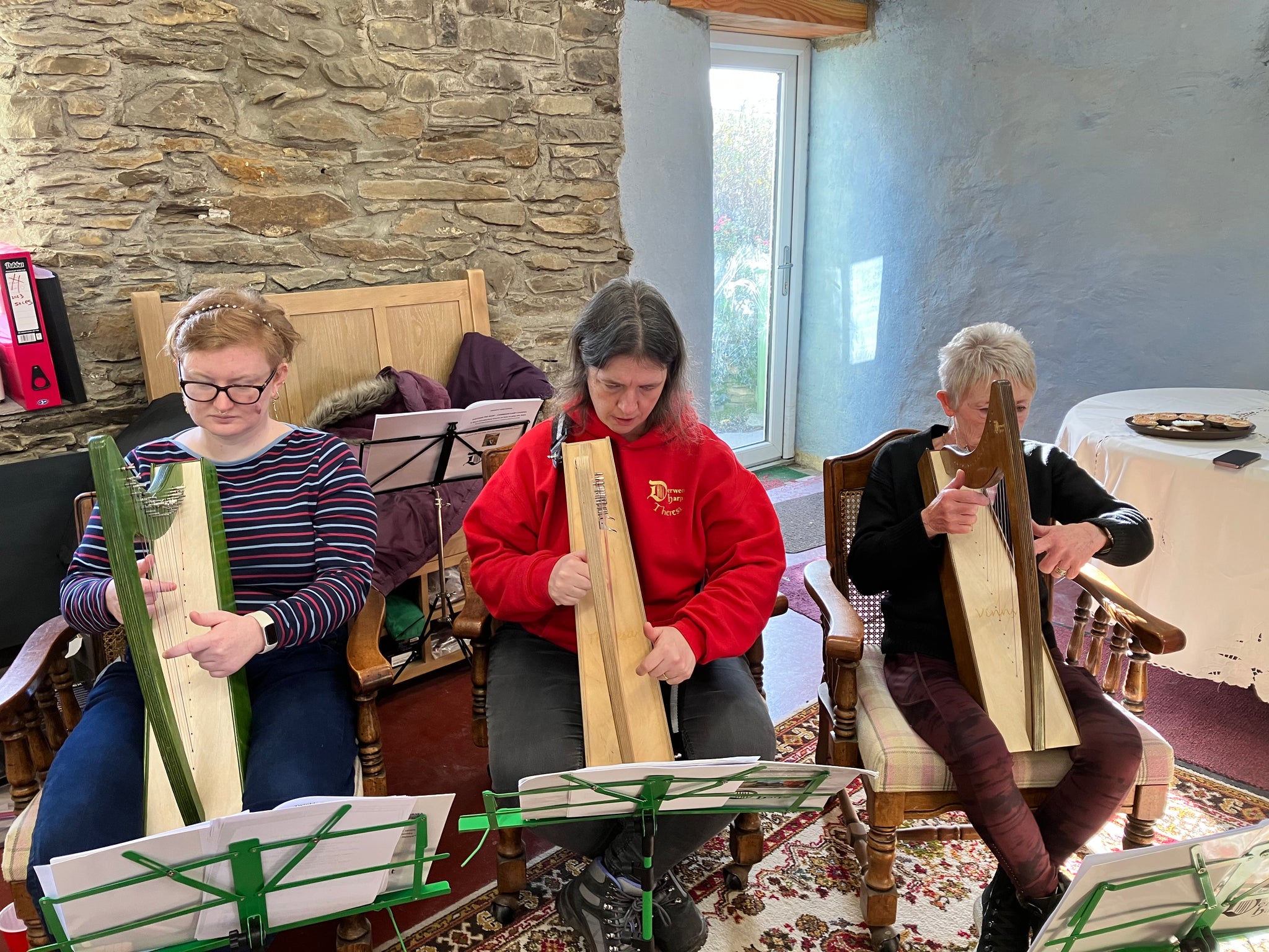 Discover The Harp in Llanrhystud 25/1/2024