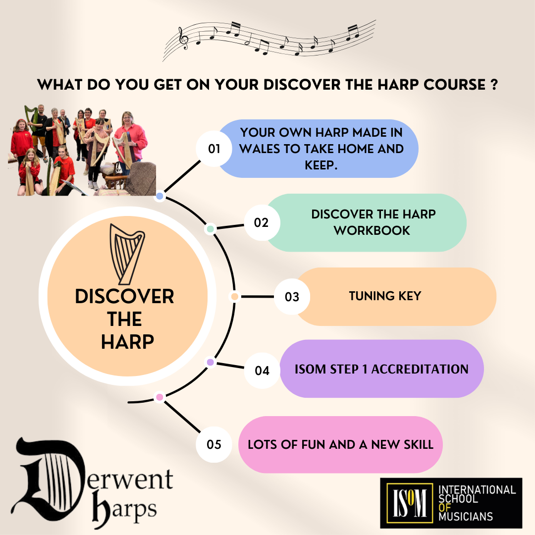 Discover The Harp in Llanrhystud 25/1/2024