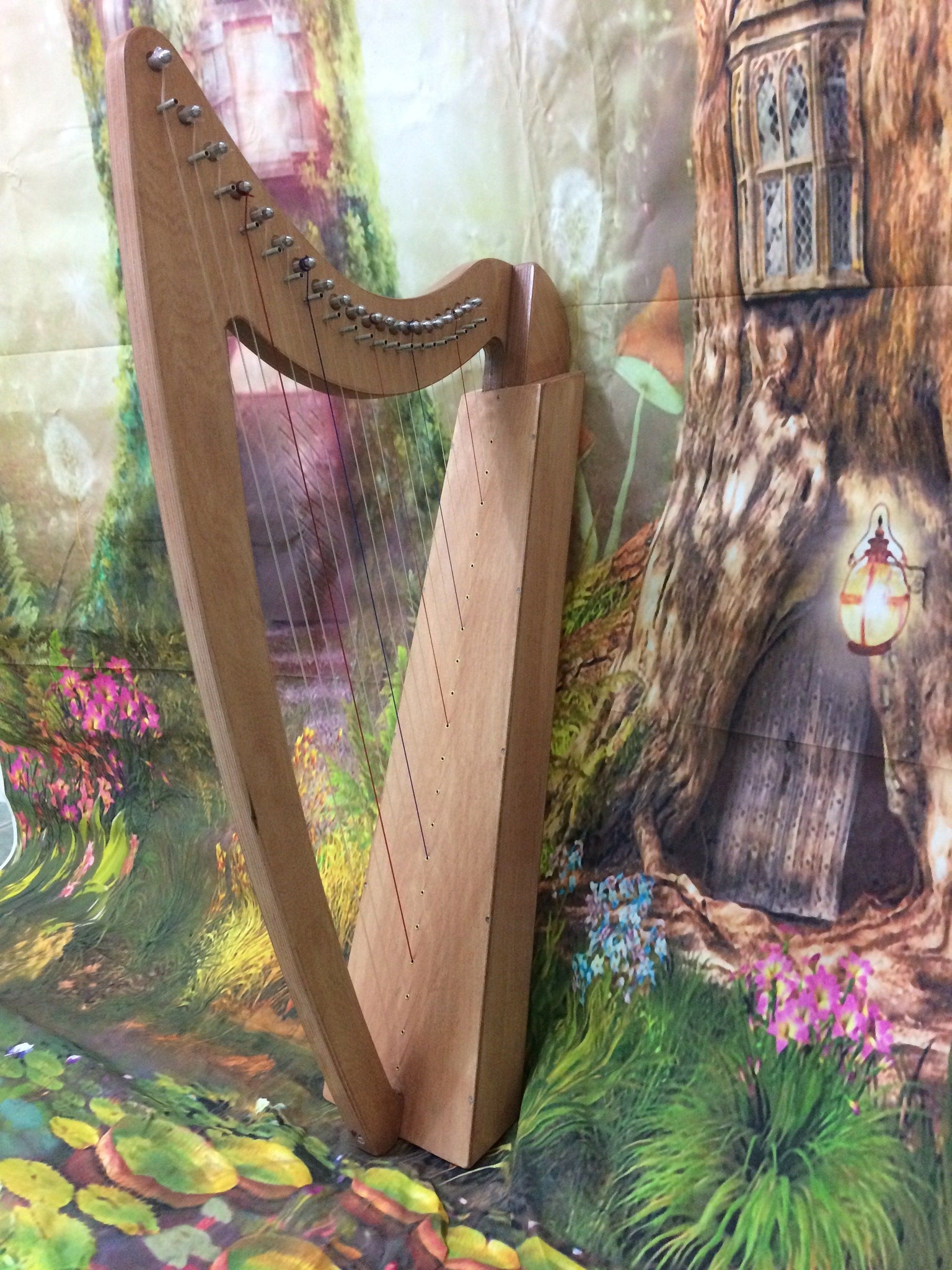 Adventurer 20  Harp Starter Pack - including Harp and all you need to get playing - Made In Wales